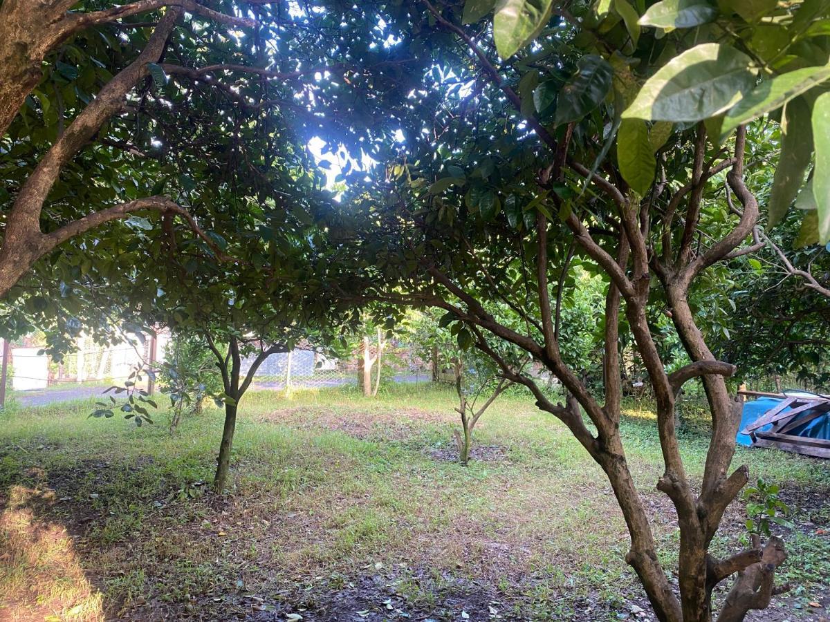 Orange Villa โกนิโอ ภายนอก รูปภาพ